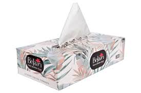Bejaan Luxury Facial Tissue 
