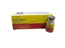 Benzyl Pencilin 500000iu inj
